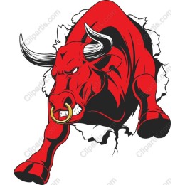 Fierce Red Bull