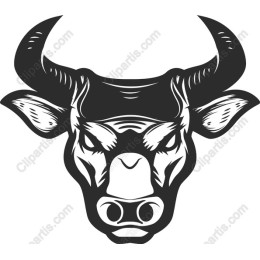 Powerful Bull Head