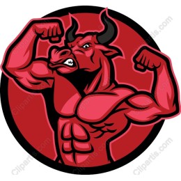 Dynamic Bull