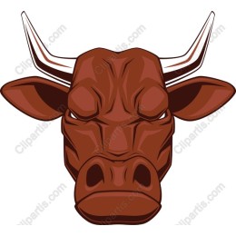 Fierce Bull Head