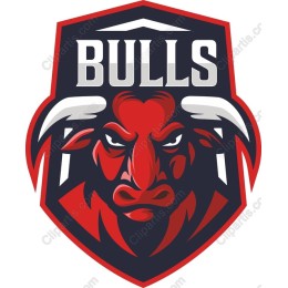Fierce Bull Logo