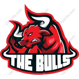 The Bulls - Intense Bull