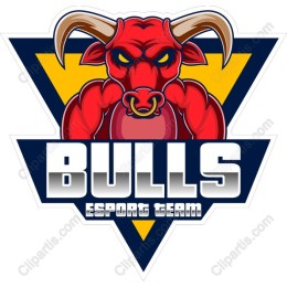 Bulls Esport Team