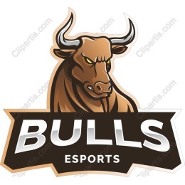Fierce Bull Esports