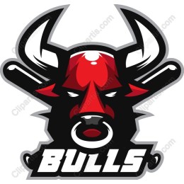Fierce Bull Logo