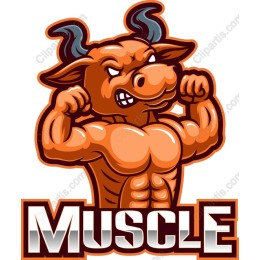 Muscle Bull