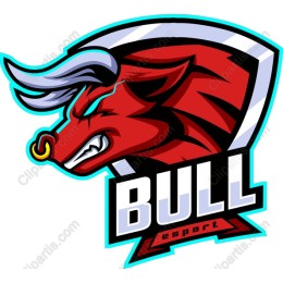 Fierce Bull eSport