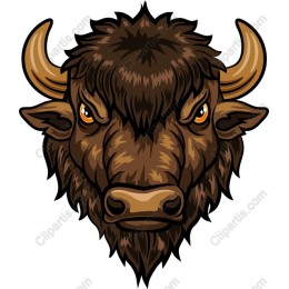 Fierce Bison Head