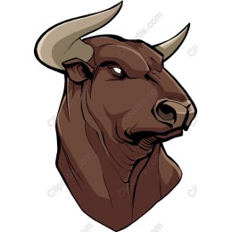 Bold Bull Head