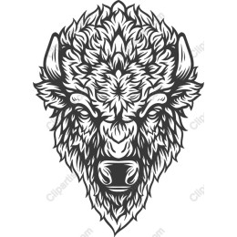 Majestic Bison Head