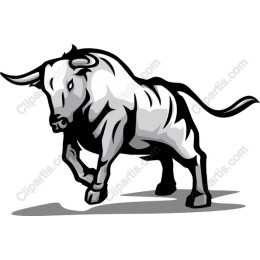 Dynamic Bull