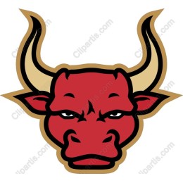 Fierce Bull Head
