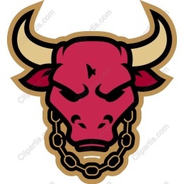 Fierce Bull Head