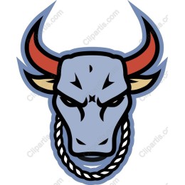 Fierce Bull Head Logo
