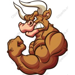 Muscular Bull