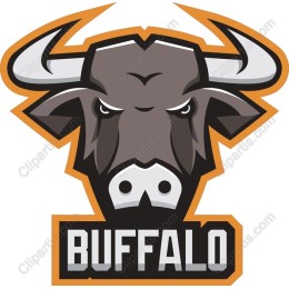Fierce Buffalo Head