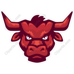 Bold Bull Head