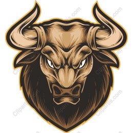 Fierce Bull Head