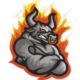 Fierce Bull in Flames