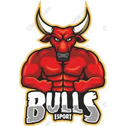 Bulls Esport work