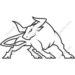 Dynamic Bull