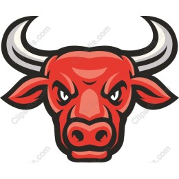 Fierce Bull Head