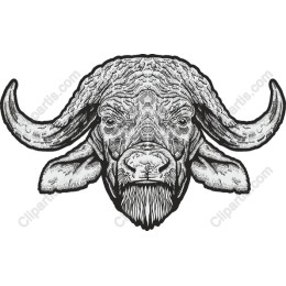 Buffalo Head