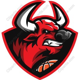 Fierce Bull Mascot