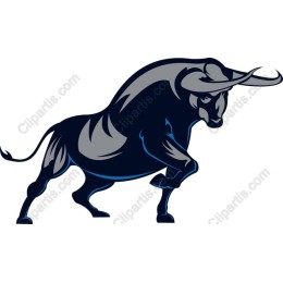Dynamic Bull