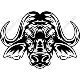 Buffalo Head