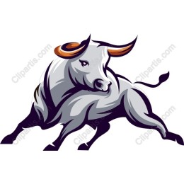 Dynamic Bull