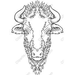 Majestic Bison