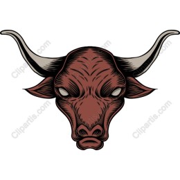 Bold Bull Head