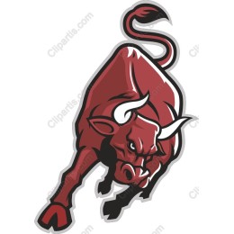 Fierce Bull