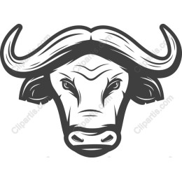 Buffalo Head