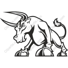 Dynamic Bull