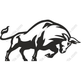 Dynamic Bull