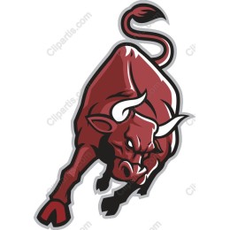 Fierce Red Bull