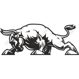 Dynamic Muscular Bull