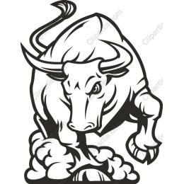 Fierce Bull