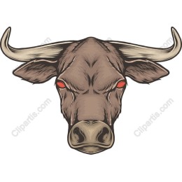 Fierce Bull Head