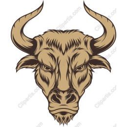 Majestic Bull