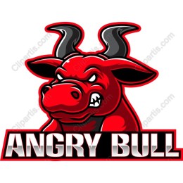 Angry Bull