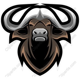 Majestic Bull Head