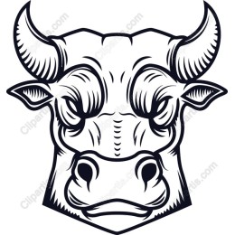 Bold Bull Head