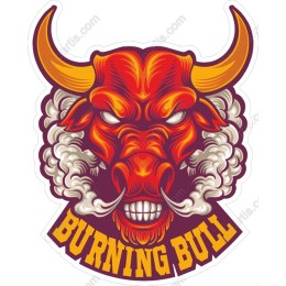Burning Bull