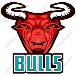 Fierce Bulls