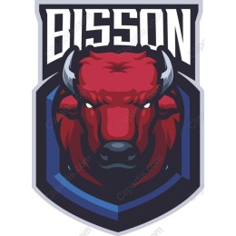 Bison