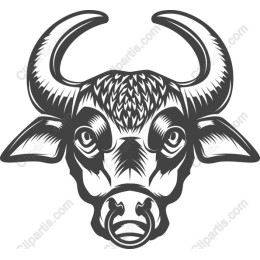 Bold Bull Head