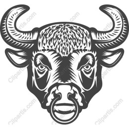 Bull Head